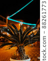 night background photo of palm tree with decorations orange color 88261773