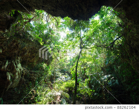 Iriomote Island limestone cave Iriomote Island limestone cave 88262104
