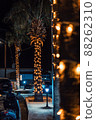 night background photo of palm tree with decorations orange color 88262310