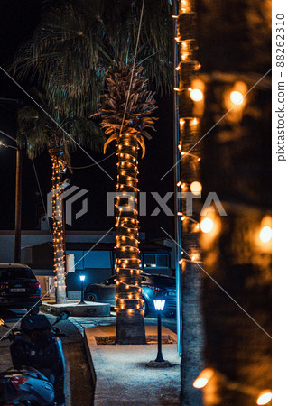 night background photo of palm tree with decorations orange color night background photo of palm tree with decorations orange color 88262310