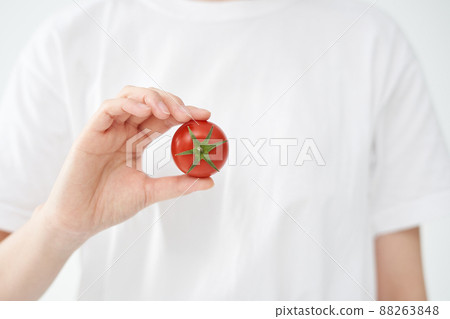 拿著西紅柿的女人 拿著西紅柿的女人 88263848