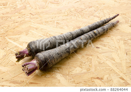 Black carrot 88264044