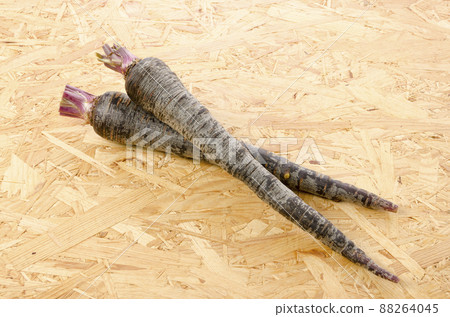 黑胡蘿蔔 88264045