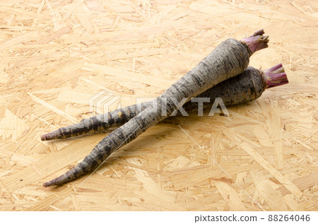 Black carrot 88264046