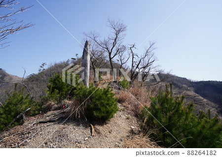 Climb the Senningatake mountain climbing course from Hishimachi, Kiryu city. Senningatake mountain trail on the left bank of Kurokawa, the trace of a forest fire in 2014 Climb the Senningatake mountain climbing course from Hishimachi, Kiryu city. Senningatake mountain trail on the left bank of Kurokawa, the trace of a forest fire in 2014 88264182