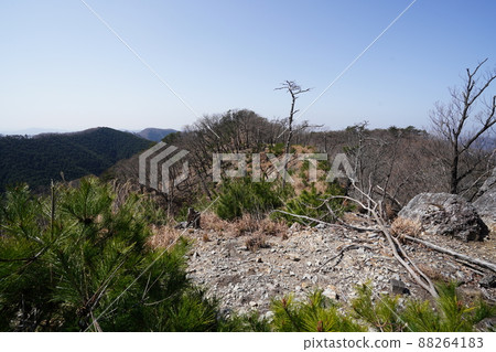 從桐生市菱町攀登千人岳登山路線。黑川左岸的千人嶽山道,2014年森林大火的痕跡 從桐生市菱町攀登千人岳登山路線。黑川左岸的千人嶽山道,2014年森林大火的痕跡 88264183