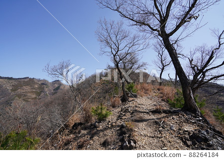 Climb the Senningatake mountain climbing course from Hishimachi, Kiryu city. Senningatake mountain trail on the left bank of Kurokawa, the trace of a forest fire in 2014 Climb the Senningatake mountain climbing course from Hishimachi, Kiryu city. Senningatake mountain trail on the left bank of Kurokawa, the trace of a forest fire in 2014 88264184