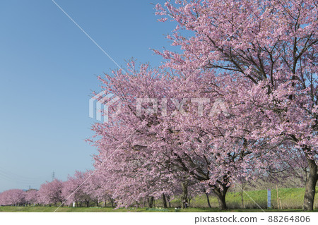 Kitaizumi Sakuragaya Park Kitaizumi Sakuragaya Park 88264806