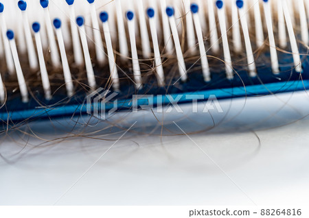 Selective focus on bristles of a hairbrush with tangled hair Selective focus on bristles of a hairbrush with tangled hair 88264816