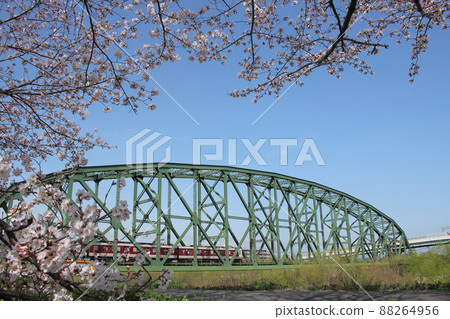 Kyoto cherry tree and train scenery 88264956