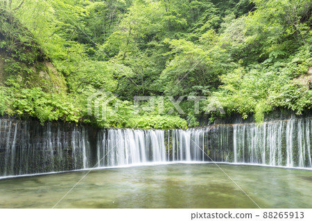Shiraito Falls Shiraito Falls 88265913