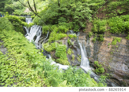 Downstream exposure of Shiraito Falls Downstream exposure of Shiraito Falls 88265914
