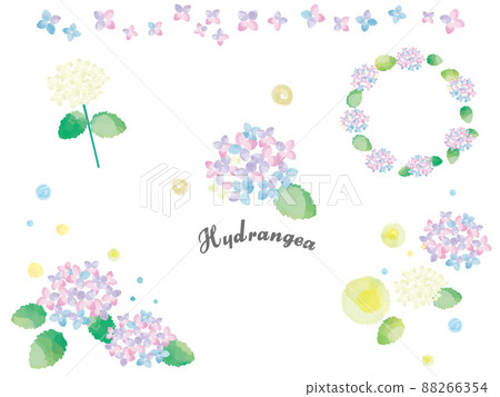 Hydrangea watercolor cut illustration 88266354