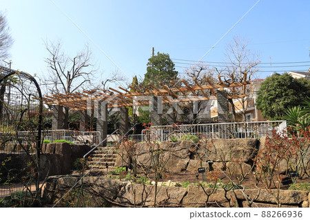 赤塚植物園 玫瑰園 板橋區赤塚 88266936