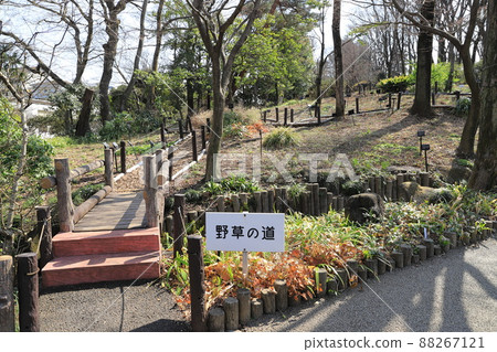Akatsuka Botanical Garden "Wild Grass Road" Akatsuka, Itabashi-ku 88267121
