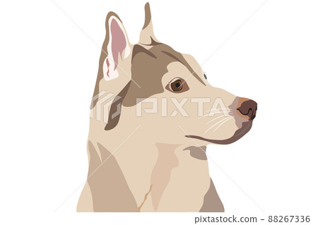 Portrait of an Isabella Husky, in profile. Realism. Portrait of an Isabella Husky, in profile. Realism. 88267336