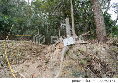 丹東登山口（上郡阿爾卑斯） 88268473