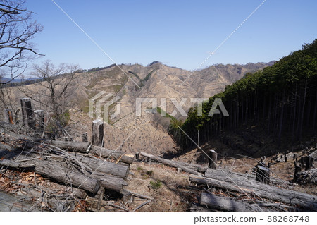Climb the Senningatake mountain climbing course from Hishimachi, Kiryu city. From the Senningatake mountain trail on the left bank of the Kurokawa to the Mae Senningatake on the opposite bank 88268748