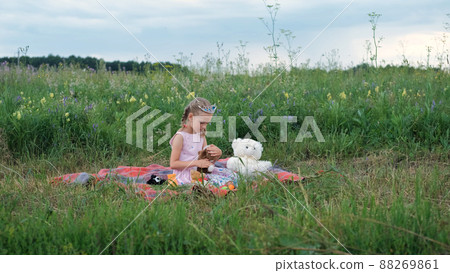 Adorable Caucasian Little Girl Playing with Toy Dog while Sitting on the Plaid in Summer Meadow. Happy Childhood Concept Adorable Caucasian Little Girl Playing with Toy Dog while Sitting on the Plaid in Summer Meadow. Happy Childhood Concept 88269861