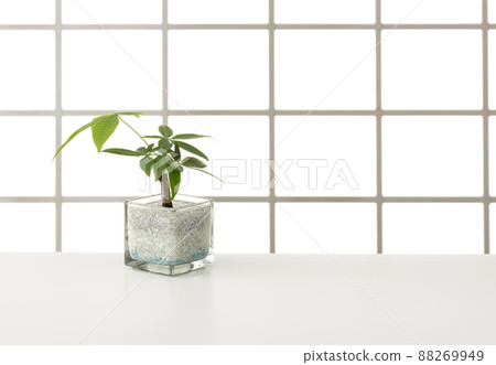 窗戶和桌子的內部圖像 88269949