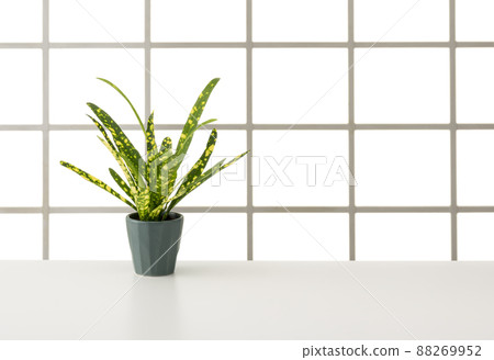 窗戶和桌子的內部圖像 88269952