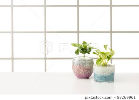 Interior image of windows and tables 88269961