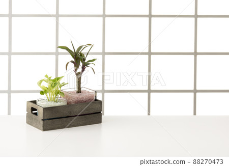 Interior image of windows and tables 88270473