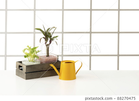 Interior image of windows and tables 88270475