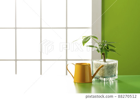 Room set shooting image 88270512