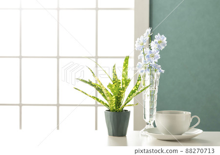 Room set shooting image 88270713