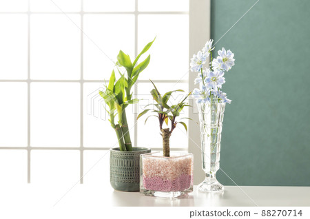 Room set shooting image 88270714
