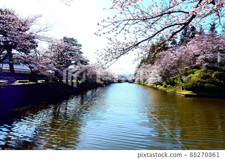 Sakura in full bloom and red bridge Matsugasaki Park Sakura in full bloom and red bridge Matsugasaki Park 88270861