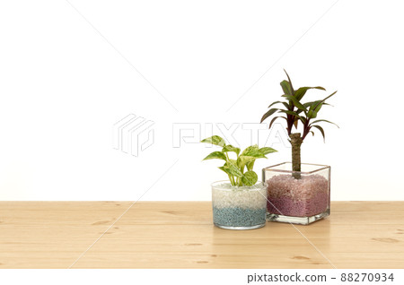 Interior image of floor and white walls 88270934