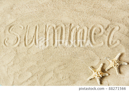 Sea sand with starfish and shells top. Summer beach background. 88271566