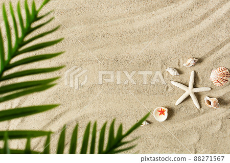Sea sand with starfish and shells top view with palm leaf. Summer beach background. 88271567