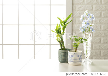 Room set shooting image Room set shooting image 88271632