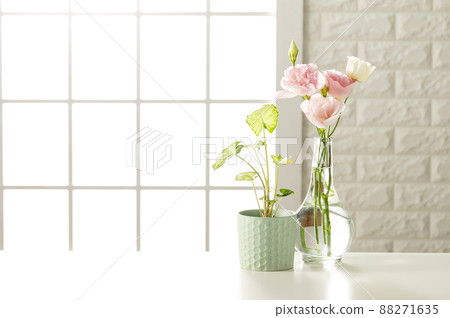 Room set shooting image 88271635