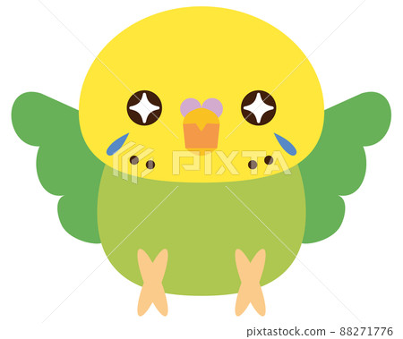 虎皮鸚鵡的期望令人興奮 虎皮鸚鵡的期望令人興奮 88271776