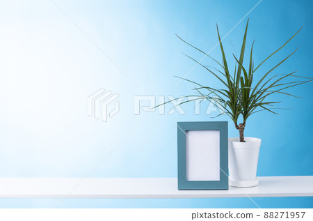 Room image of shelves and foliage plants Room image of shelves and foliage plants 88271957