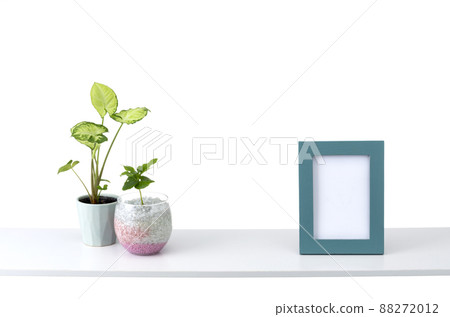 Room image of shelves and foliage plants Room image of shelves and foliage plants 88272012