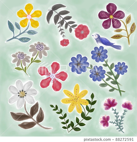 鳥與花，花與鳥，花點菜，薄荷綠 88272591