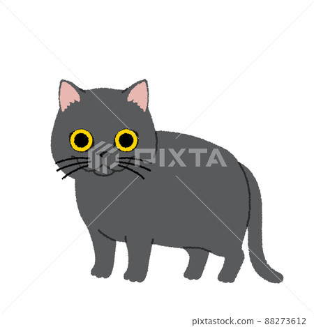 British shorthair cat illustration British shorthair cat illustration 88273612