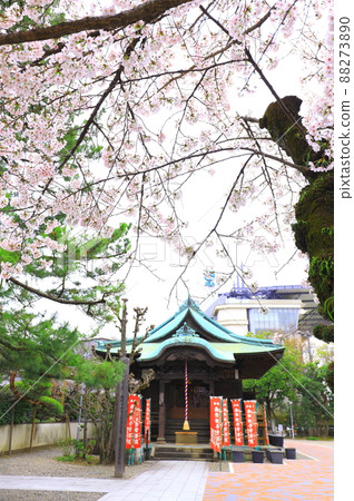 府中市櫻花安陽寺 府中市櫻花安陽寺 88273890