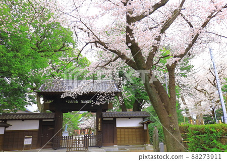府中市櫻花安陽寺 府中市櫻花安陽寺 88273911