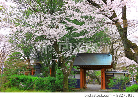 Anyoji, Fuchu City Sakura 88273935