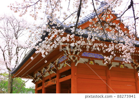 Anyoji, Fuchu City Sakura 88273941