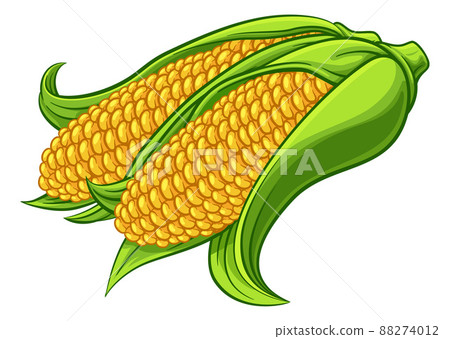 Sweet Corn Ear Maize Cob Cartoon Illustration Sweet Corn Ear Maize Cob Cartoon Illustration 88274012