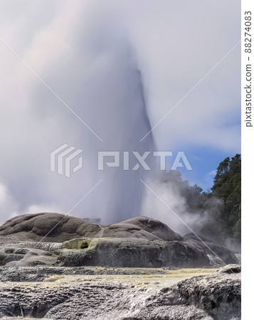 Pohutu Geyser, Te Puia, NZ Pohutu Geyser, Te Puia, NZ 88274083