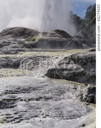 Pohutu Geyser, Te Puia, NZ Pohutu Geyser, Te Puia, NZ 88274085