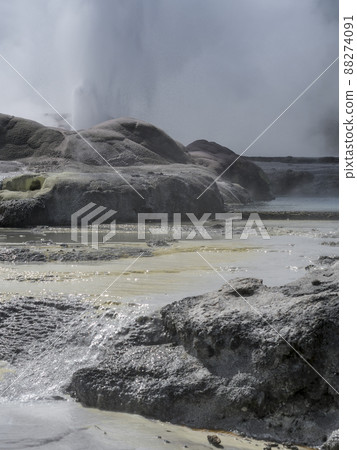 Pohutu Geyser, Te Puia, NZ Pohutu Geyser, Te Puia, NZ 88274091